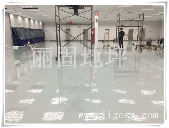 04蘇州工業園區外資電器有限公司防靜電環氧地坪